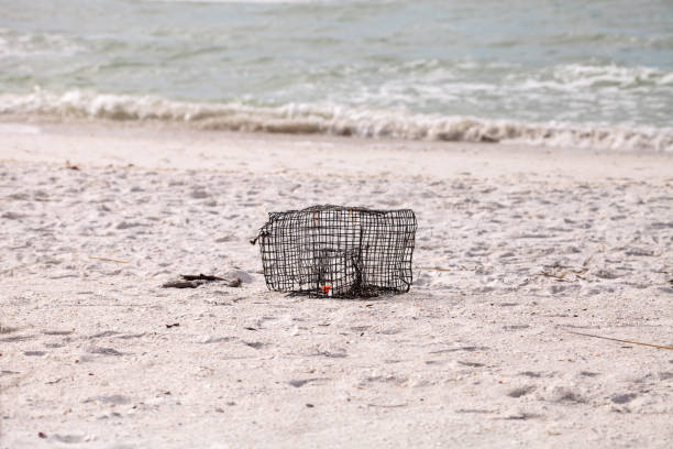 Crab and lobster trap washed up on the white sand beach of Tigertail Beach on Marco Island, Florida.