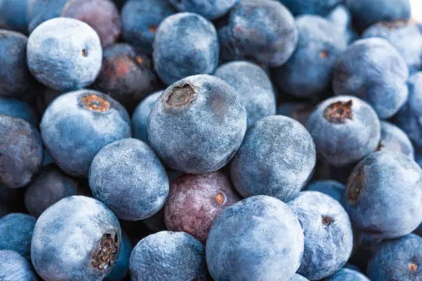 Photo of Macro Shot Of Fresh Blueberries