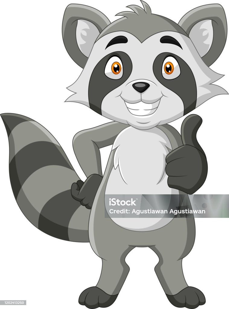 Cartoon Funny Raccoon Thumb Up Stock Illustration - Download Image Now -  Cartoon, Raccoon, Animal - iStock