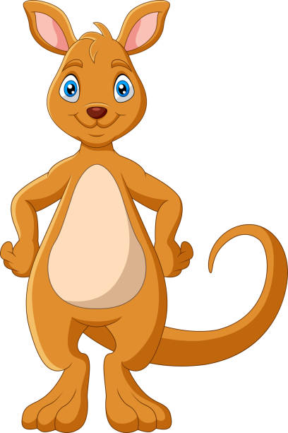 Cartoon Funny Kangaroo Is Smiling Stock Illustration - Download Image Now -  Kangaroo, Playful, Vector - iStock