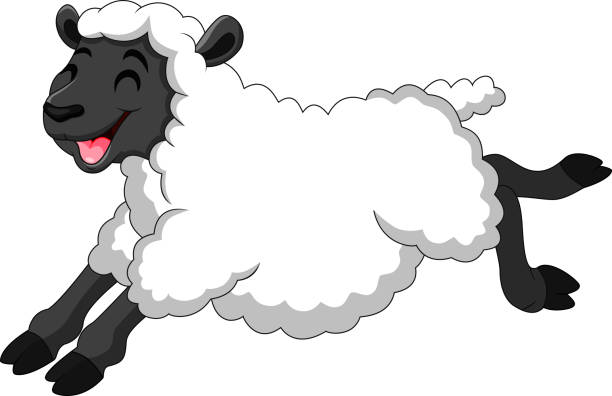 ilustrações, clipart, desenhos animados e ícones de desenho de ovelhas engraçadas um sorriso - 264