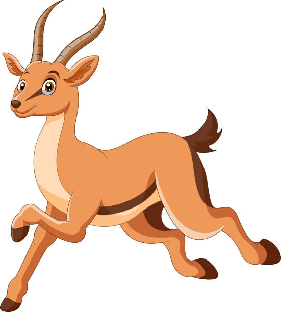 A cute cartoon gazelle stands Vector illustration of A cute cartoon gazelle stands impala stock illustrations