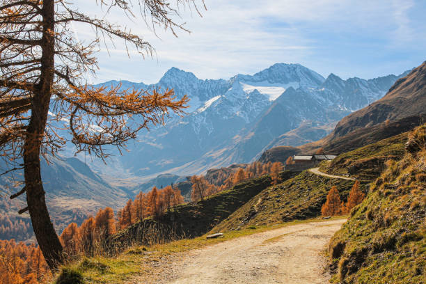 idylliczny jesienny krajobraz górski z alpami i szczytami hochfirst i granatenkogel na końcu passeiertal / val passiria, południowy tyrol, włochy na przełęczy do timmelsjoch (austria) - oetztal alps zdjęcia i obrazy z banku zdjęć