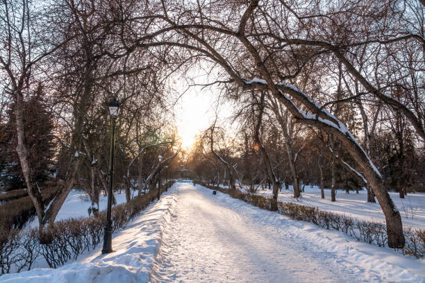 istock Snow covered city park in winter 1202418617