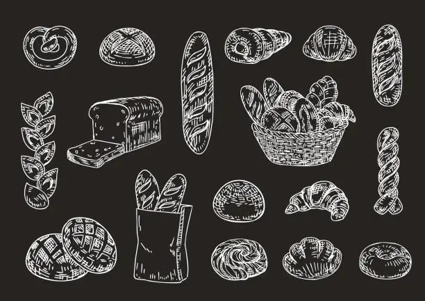Vector illustration of Bread bakery food hand drawn illustration set.