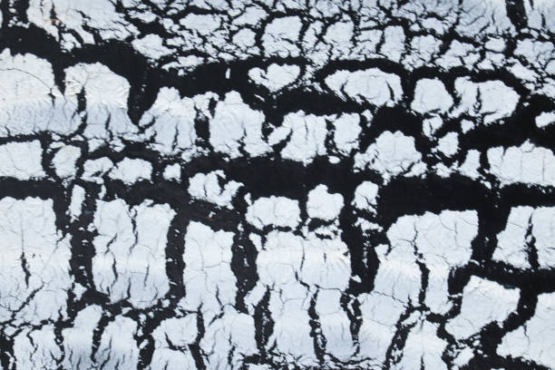 istock Seamless Pattern Texture Design In Black And White For Wallpaper Or background 1202419879