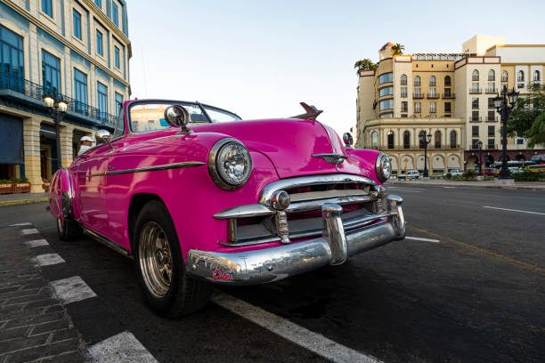 chevrolet de voiture américaine classique sur le fond des palmiers dans le soleil lumineux dans la soirée à la havane sur le fond de l'architecture coloniale - cuba car chevrolet havana photos et images de collection