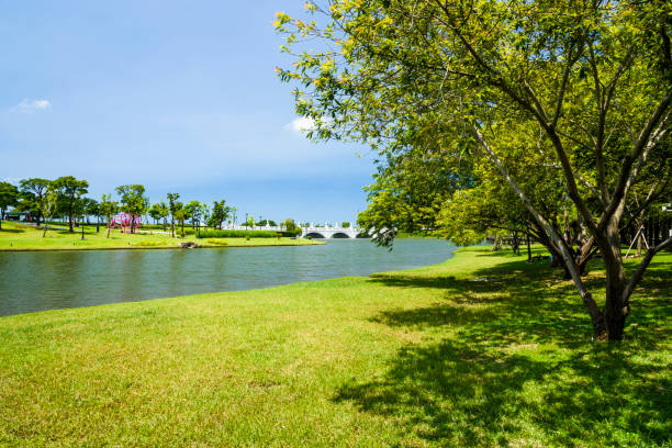 beautiful city park with the lake