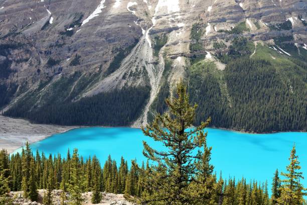 istock Lake in Canadian Rockies 1202426644