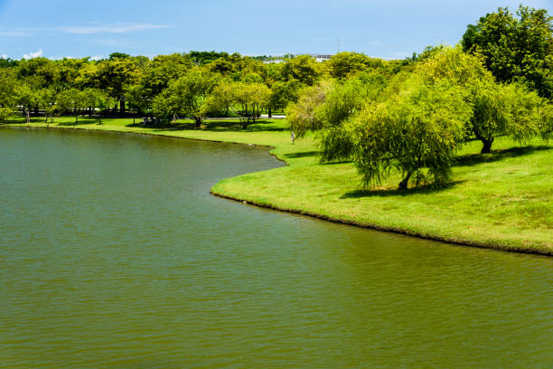 istock Beautiful Tainan Metropolitan Park in Taiwan. 1202426655