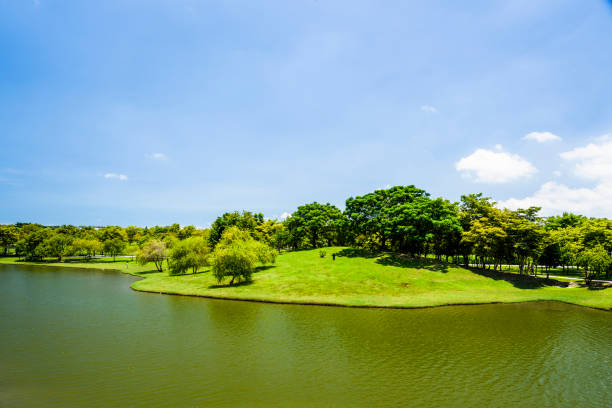 台湾の美しい台ナンメトロポリタン公園。 - wavelet ストックフォトと画像