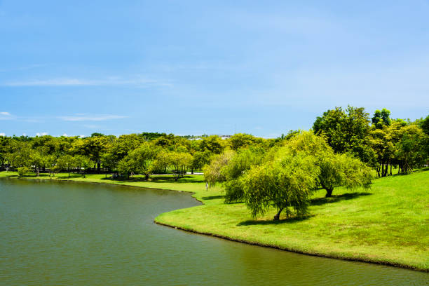 istock beautiful city park with the lake 1202426806