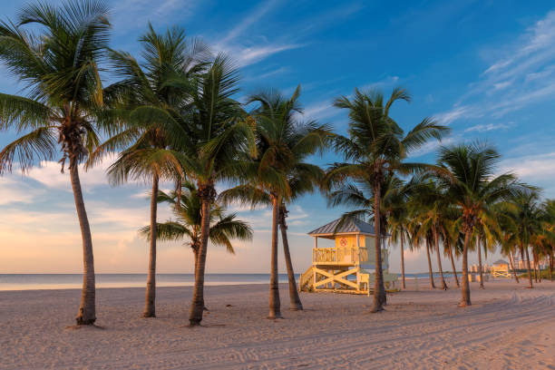istock Sunrise at palm trees on tropical beach 1202427881