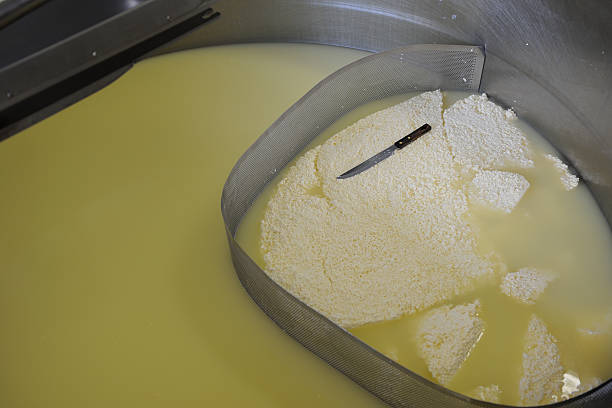 istock Production of cheese 120243301