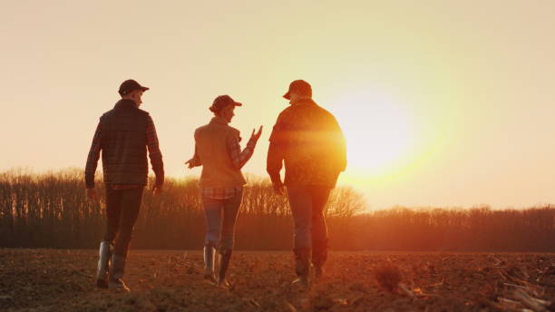 trois fermiers vont de l'avant sur un champ labouré au coucher du soleil. jeune équipe d'agriculteurs - caucasian male female offspring photos et images de collection