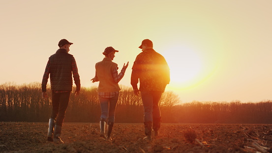 Three farmers go ahead on a plowed field at sunset. Young team of farmers.