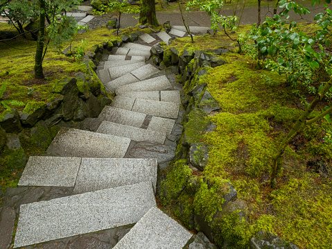 A view of steps and lush growth from above. This is at the Portland Japanese Garden in Portland, Oregon. Some minor editing.
I am a Photographer level member of the Portland Japanese Garden as requested by the Garden for Commercial use of photos.