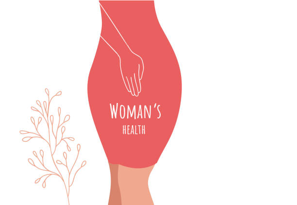 illustrations, cliparts, dessins animés et icônes de beau corps féminin et concept d'hygiène et de santé des femmes. ménopause, incontinence urinaire, - childbirth gynecologist gynecological examination doctor