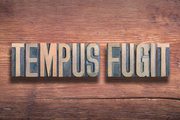 istock tempus fugit wood 1202434574
