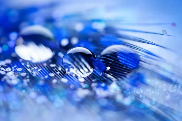 Photo of Beautiful transparent water drops or rain water on soft background. Macrophotography. Desktop background. Selective focus.