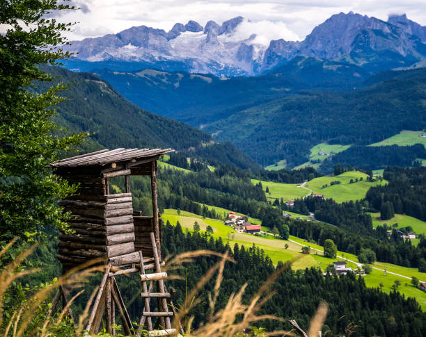 istock Austrian Country Overlook 1202435795