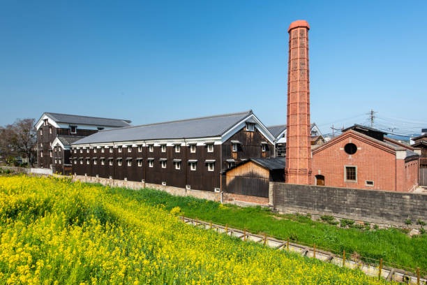 istock Brick chimney and yellow rape blossoms 1202436503