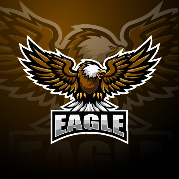 projekt logo maskotki eagle sport - indonesia football stock illustrations