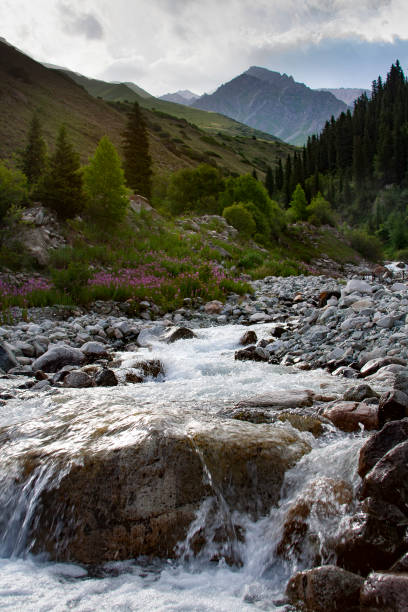 istock Panarama of mountain river valley 1202438130