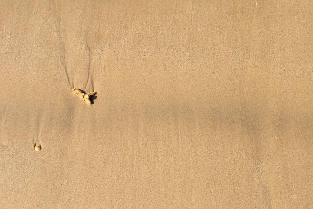 istock Find brown sand background, natural sand texture background 1202440100