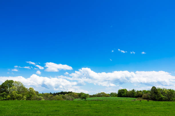 青空の下のハイランド牧場の風景4 - paddock ストックフォトと画像