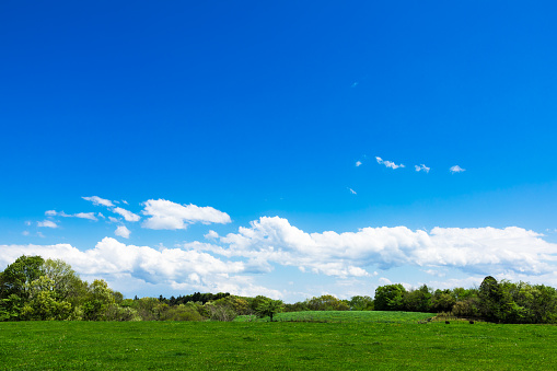 Shooting highland ranch landscape under the blue sky