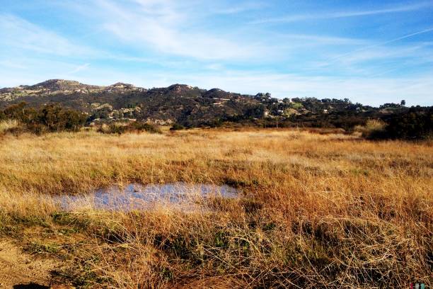 istock Field in the mountains with large rain puddle 1202444164