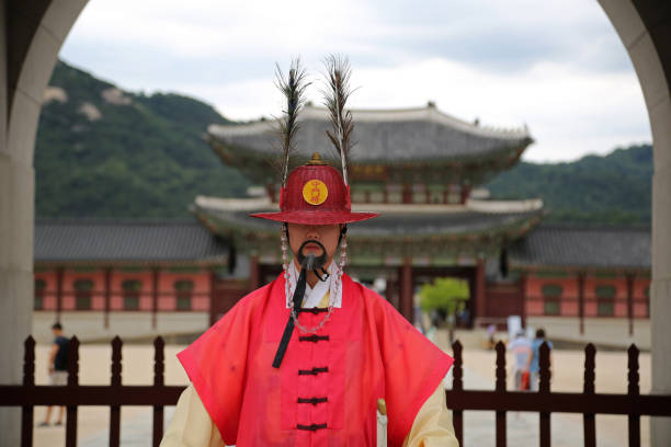 la guardia reale al palazzo gyeongbokgung - seoul honor guard horizontal front view foto e immagini stock