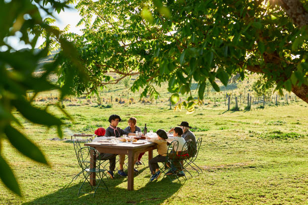 istock Family eating together under a tree on a Argentinian Estancia. 1202445684