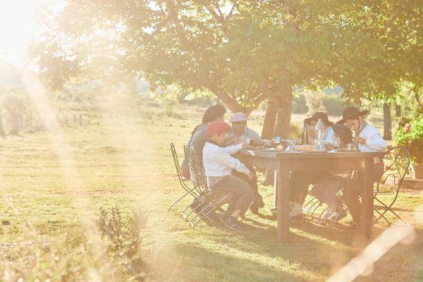 istock Family eating dinner together under the sun. 1202445706