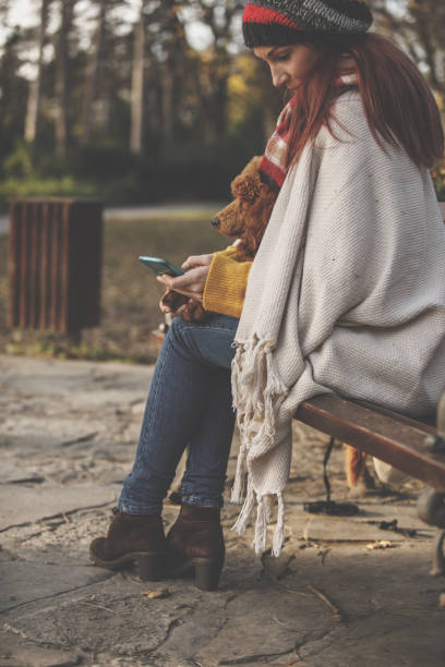 istock Dog relaxing on his owners lap while they take a break from their walk at the park 1202446385
