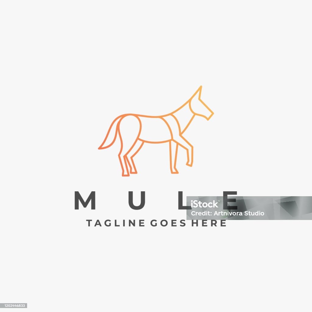 Mule Vector Vector Illustration Mule Elegant Line Art Style Stock Illustration ...
