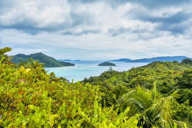istock Fond Ferdinand Nature Reserve on Praslin, Seychelles 1202447091
