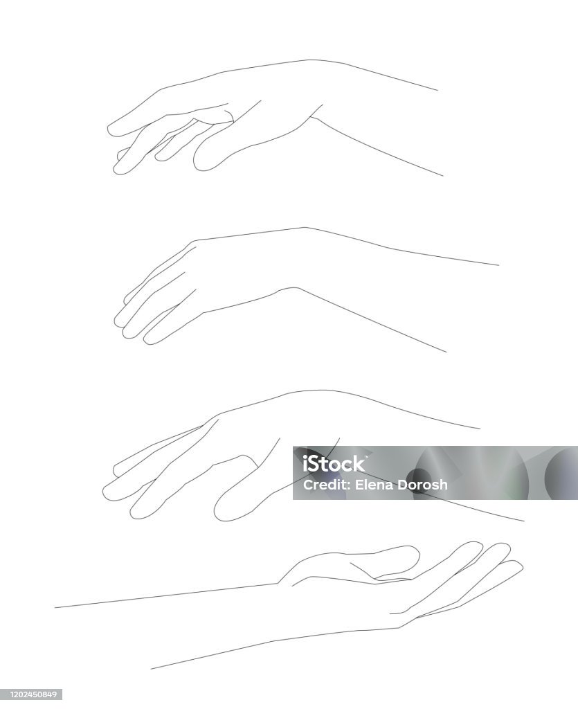 Long Hand Vector Hands Vector Image Linear Graphics Contemporary Art Stock Illustration ...