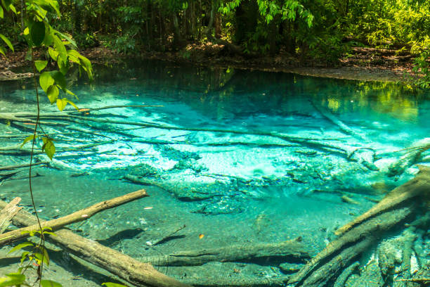 istock Emerald Pool Krabi rainforest Thailand 1202455079