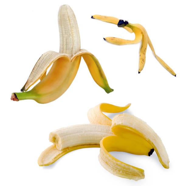 istock organic yellow bananas Isolated object On White Background. 1202456096