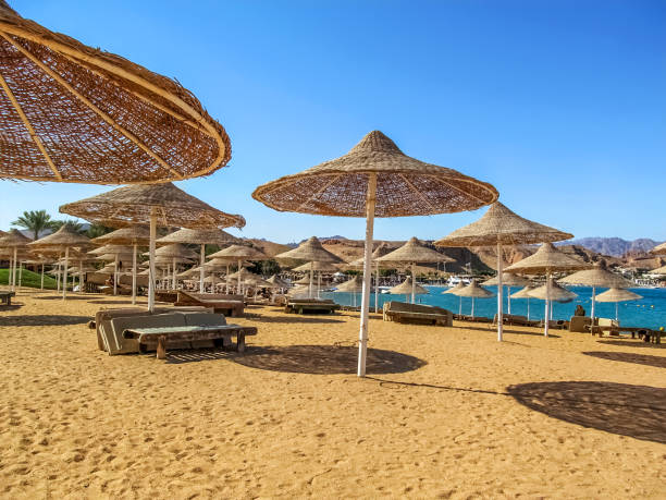 istock Umbrellas woven from straw on a sandy beach in Sharm El Sheikh (Egypt) 1202457230