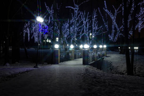 istock Night walks on new year's eve in the Park 1202457407