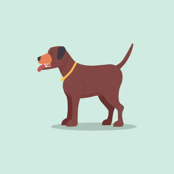 Vector illustration of Pit bull brown dogs vector.Flat cartoon puppy isolated background
