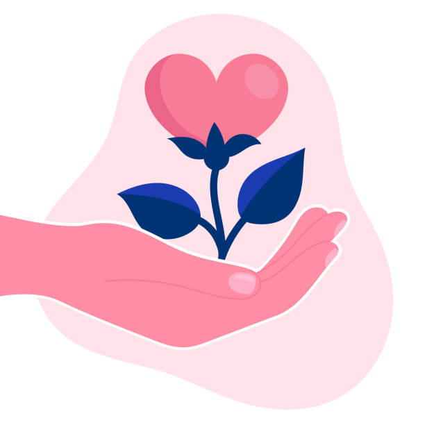Human hand hold a flower in the form of a heart.Psychological support, help, psychotherapy.Emotional problem.Concept.Flat vector illustration Human hand hold a flower in the form of a heart.Psychological support, help, psychotherapy.Emotional problem.Concept.Flat vector illustration compassion stock illustrations