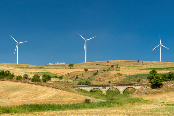 rural landscape in apulia at summer - railway bridge imagens e fotografias de stock