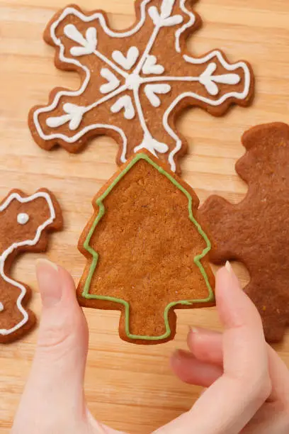 Hand holding gingerbread Christmas tree shaped cookie