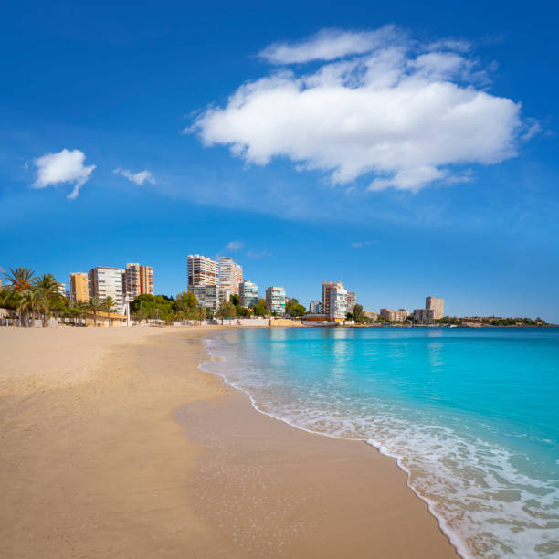 istock Playa Albufereta Beach in Alicante Spain 1202463402