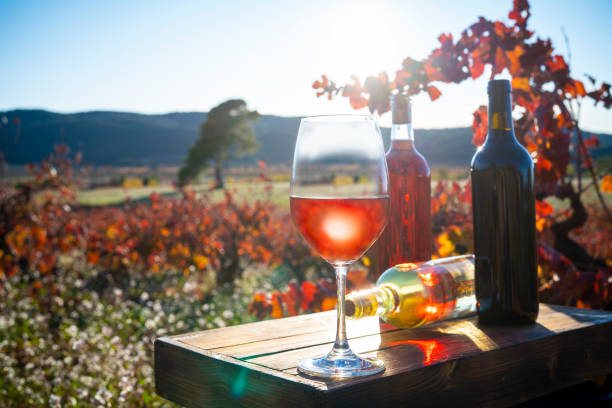 vineyard wineglass and wine bottles at sunset - wine glass white wine wineglass imagens e fotografias de stock