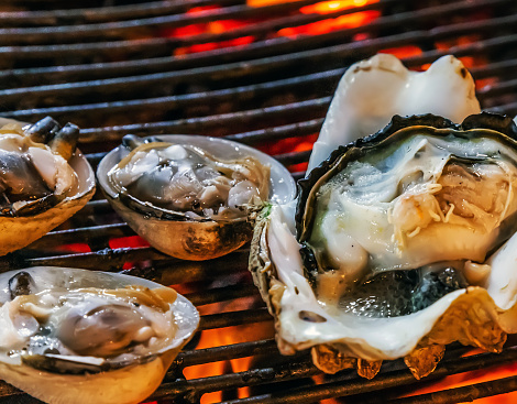 scallop seashell muscle mussel oyster Cooking Barbecue Fire Grill Close-up Black Food Background
